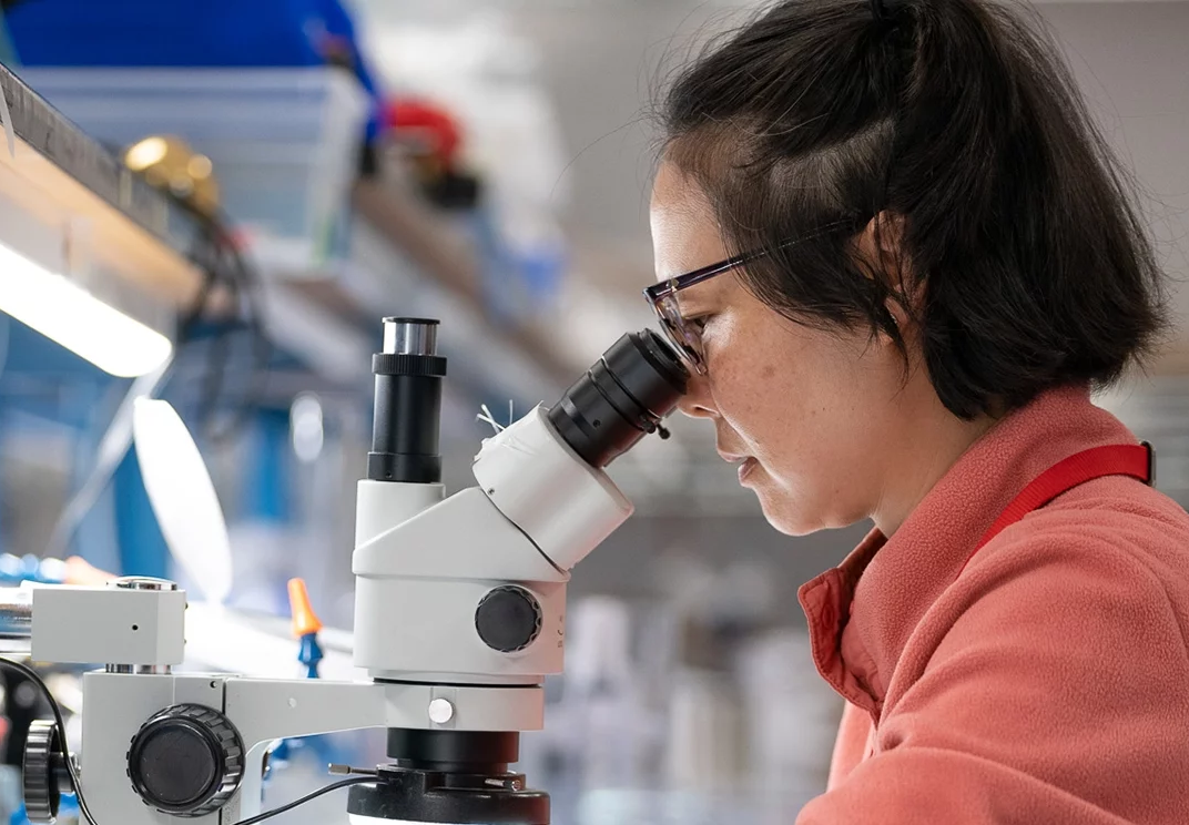 Industrial Inspection & Assembly Industrial Inspection & Assembly