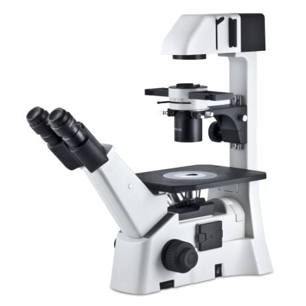 AE31 Elite Inverted Phase Contrast Microscope