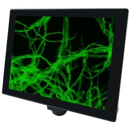 Labomed LBO3146300 iVu Touch Microscope Camera 10" Touch Screen 5 Megapixels