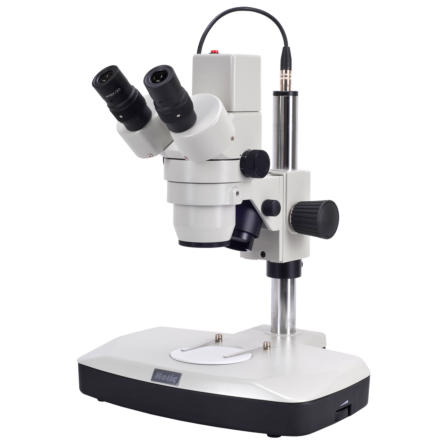 Motic DM143 Digital Stereo Microscope