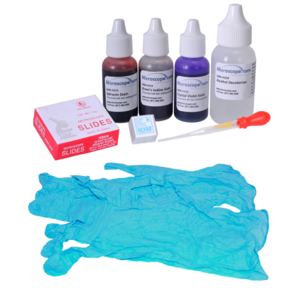 Omano Gram Stains Kit