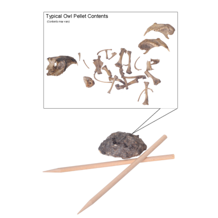 Omano Owl Pellet Kits