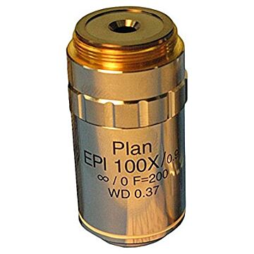 MA874 Epi Plan Objective 100x