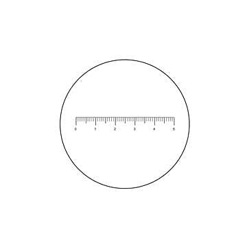 Meiji Techno MA256 5mm line divided into 100 units