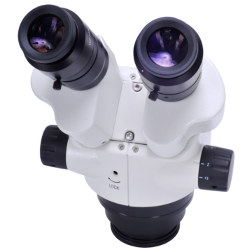 OM2300 Binocular Stereo Head