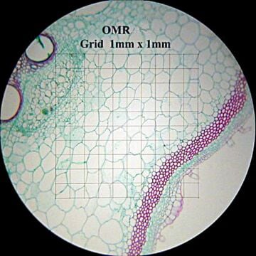 Omano Reticle, 25mm Grid