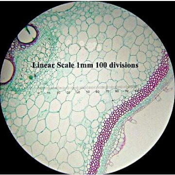 Omano Reticle, 19mm Linear