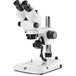 Euromex StereoBlue EVO SB.1703-P Trinocular Zoom Microscope