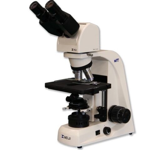 Veterinary Microscope - MT4200-EV Ergonomic Laboratory Microscope