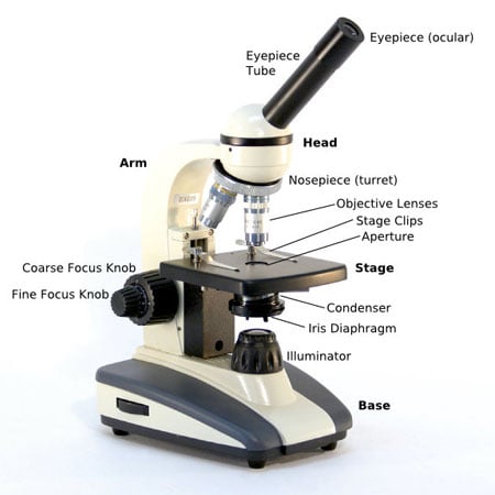 microscope parts and definitions