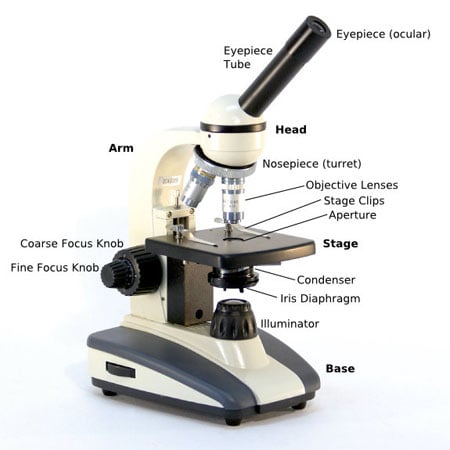 components of microscope and their function